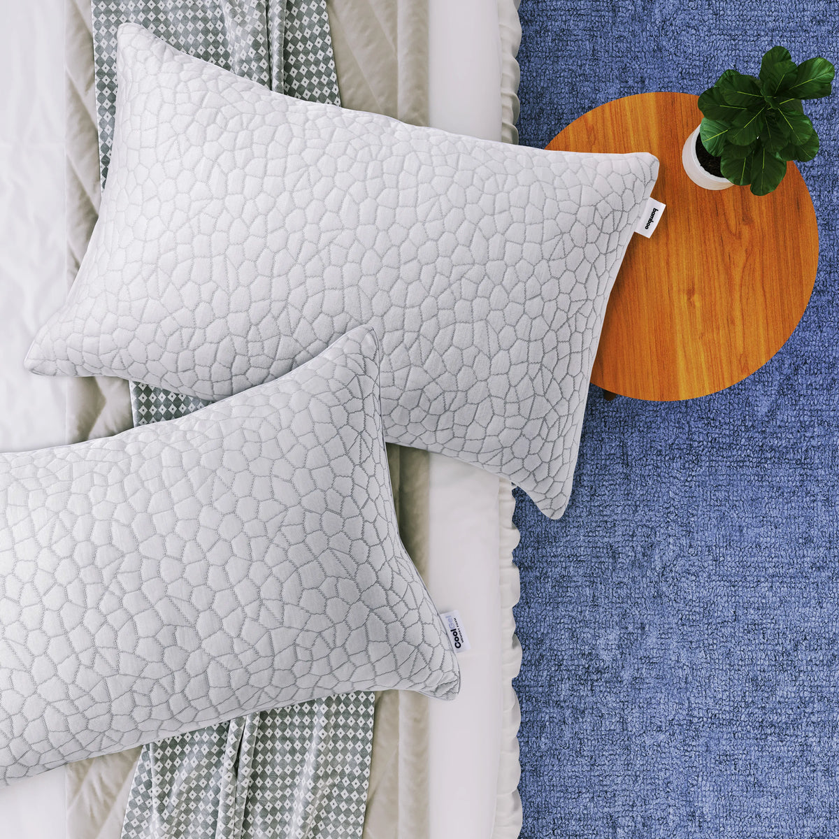 Get 2 Free Pillows, On Us...