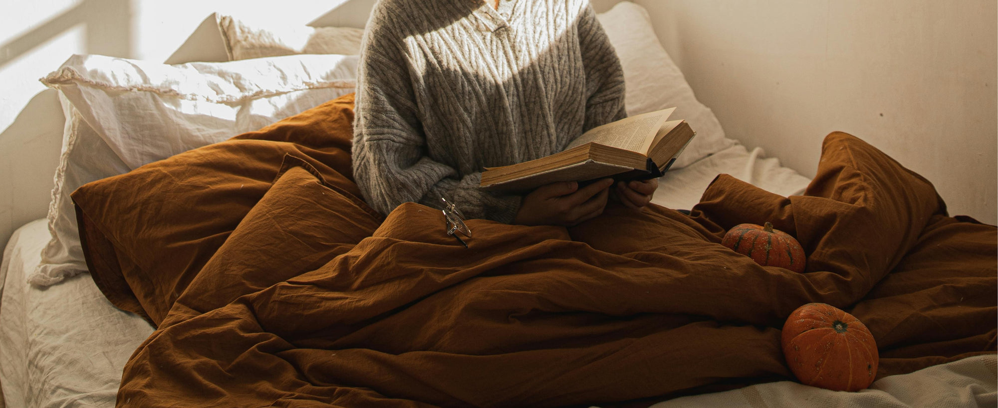 Hero banner desktop image